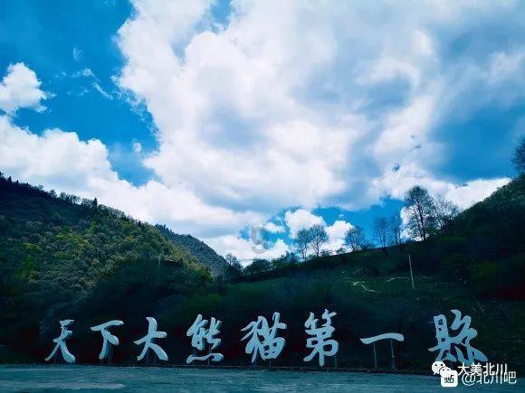 老师问每一次作业是否独立完成怎么回答？游戏画面